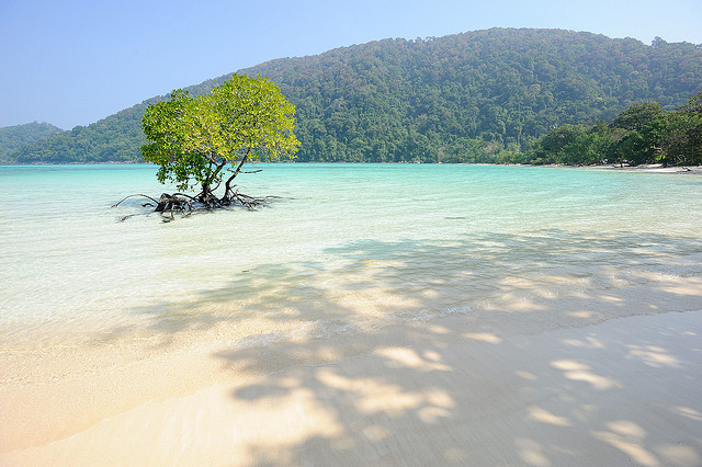 On the Surin Holidays Beach