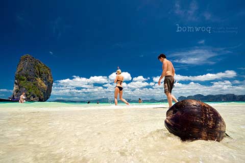 แหล่งท่องเที่ยว หาดนพรัตน์ธารา คลองม่วง กระบี่