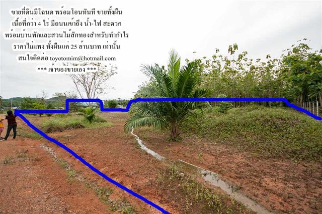 ขายที่ดินราคาถูกที่กระบี่ คลองม่วง 4 ไร่