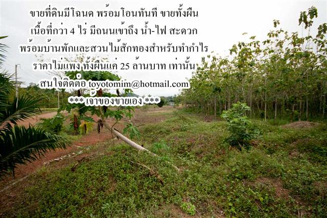ขายที่ดินราคาถูกที่กระบี่ คลองม่วง 4 ไร่