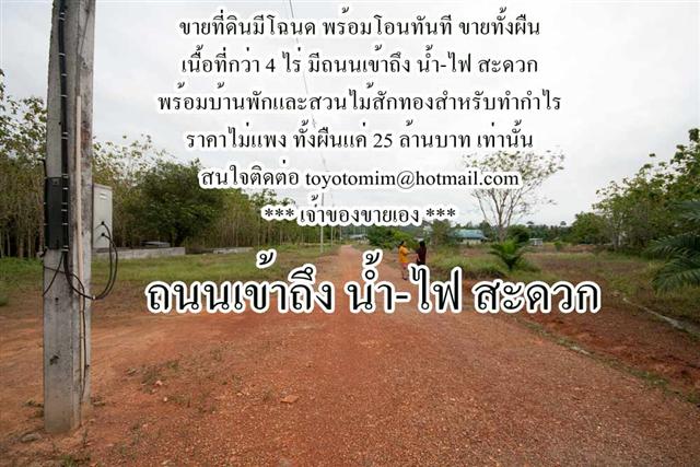ขายที่ดินราคาถูกที่กระบี่ คลองม่วง 4 ไร่
