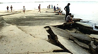 Fossil Shell Beach สุสานหอย