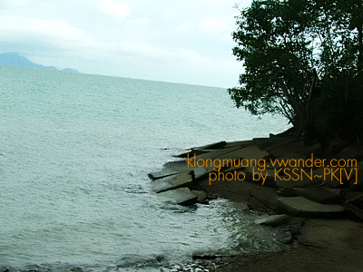 เที่ยว สุสานหอย ที่กระบี่