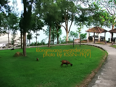 เที่ยว สุสานหอย ที่กระบี่