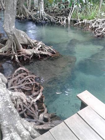 ท่าปอม คลองสองน้ำ เที่ยวอ่าวลึก จังหวัดกระบี่