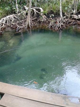 ท่าปอม คลองสองน้ำ เที่ยวอ่าวลึก จังหวัดกระบี่