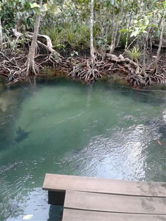 ท่าปอม คลองสองน้ำ เที่ยวอ่าวลึก จังหวัดกระบี่