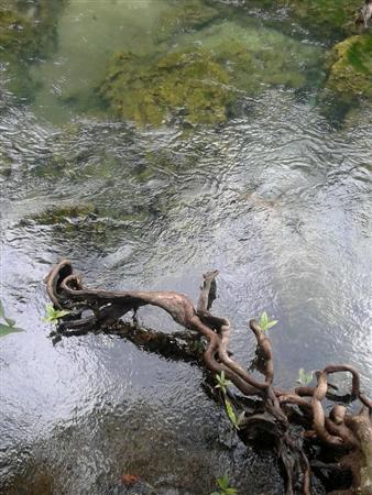 ท่าปอม คลองสองน้ำ เที่ยวอ่าวลึก จังหวัดกระบี่