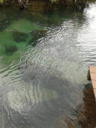 ท่าปอม คลองสองน้ำ เที่ยวอ่าวลึก จังหวัดกระบี่